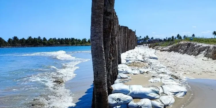 Muro construído em praia de Pernambuco  • Divulgação
