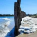 Muro construído em praia de Pernambuco • Divulgação