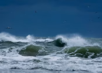 Ondas - Reprodução/Unsplash/Barth Bailey