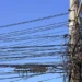 Poste de energia - Reprodução/Unsplash/luoman