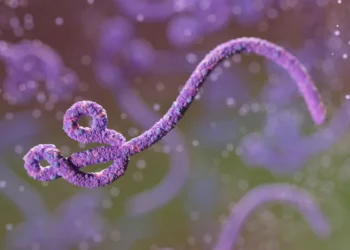 Vírus Ebola - Reprodução/Maciej Frolow/Getty Images
