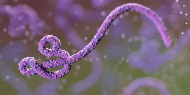 Vírus Ebola - Reprodução/Maciej Frolow/Getty Images
