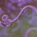 Vírus Ebola - Reprodução/Maciej Frolow/Getty Images