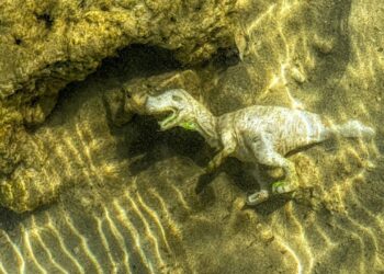 Ciência encontra possível resposta para ausência de dinossauros marinhos