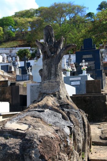 escultura de arvore chama atencao