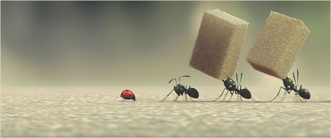 a nada mole vida dos insetos e mostrada na animacao minusculos