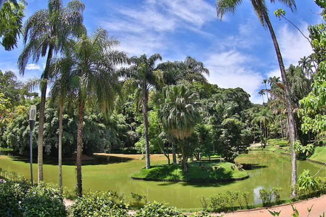 Frequentadores reclamam de mau cheiro em lago do museu 1 alem do tom esverdeado da agua do lago uma fina camada como se fosse uma nata podia ser vista sobre o espelho dagua na ultima sexta feira no local fernando priamo