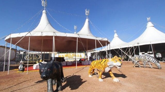 Histórias do picadeiro 2 circo couri