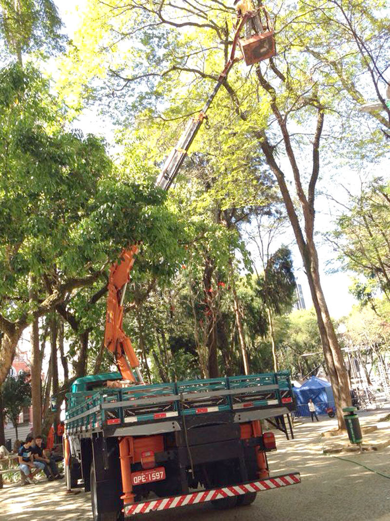 Após incidente, Empav podou algumas árvores
