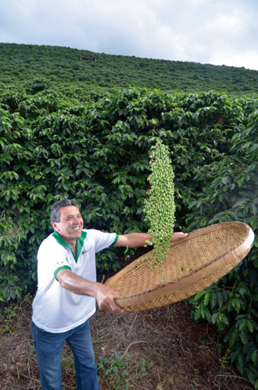 Cultura cafeeira é forte especialmente em Manhuaçu