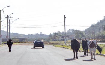 Flagrante foi registrado na BR-440, na Cidade Alta
