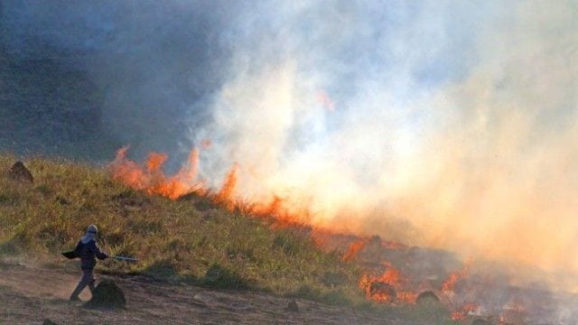 incendio leo