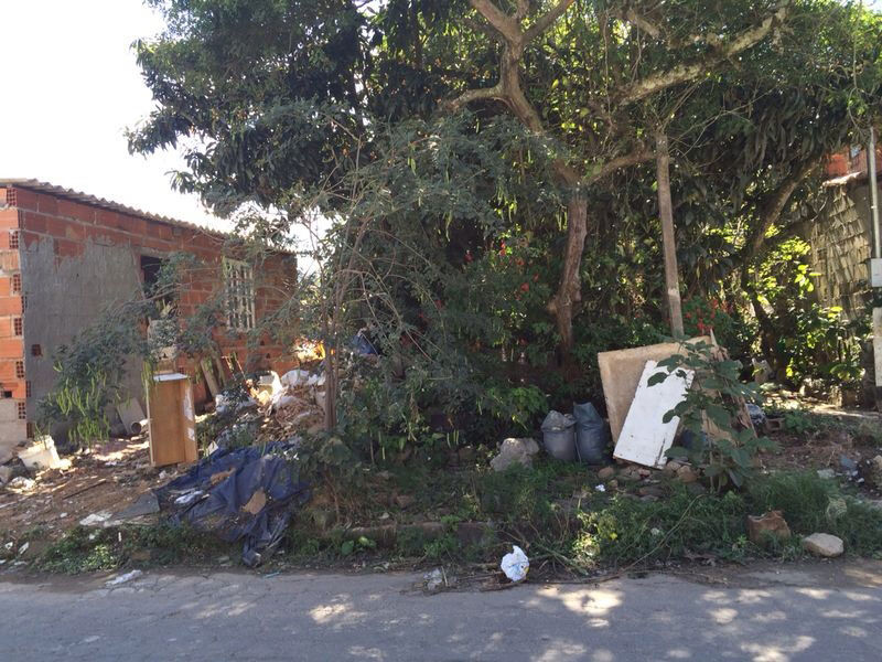 Moradores reivindicam limpeza de terreno na Rua Sebastião Ferreira