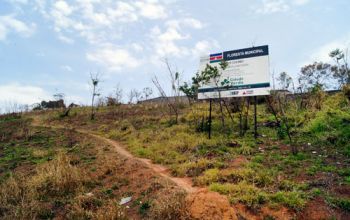 Área do Verbo Divino que deveria estar reflorestada na Zona Norte tem apenas restos de vegetação que sobraram das queimadas