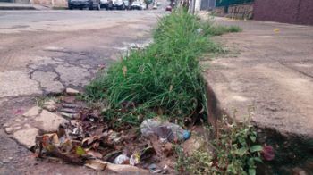 Equipamento urbano tomado por mato, folhas e garrafa plástica na Rua Princesa Isabel