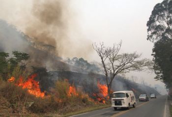 FELIPE COURI/14-10-14 Fogo chegou próximo à BR-267, na altura do Floresta, atrapalhando visibilidade de motoristas