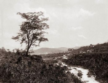 FOTOS: ALFREDO FERREIRA LAGE /ACERVO MUSEU MARIANO PROCÓPIO Alfredo registrou uma pouco habitada Juiz de Fora no início do século XX