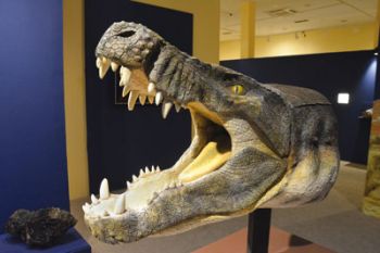 FOTOS: MARCELO RIBEIRO Cabeça de crocodiliano é uma das atrações logo na entrada