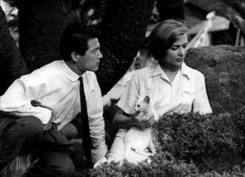 DIVULGAÇÃO Casal franco-nipônico tem menos de 48 horas para viver seu romance em