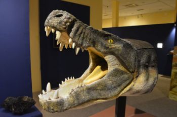 Exposição resgata o passado da chamada Região das Geraes