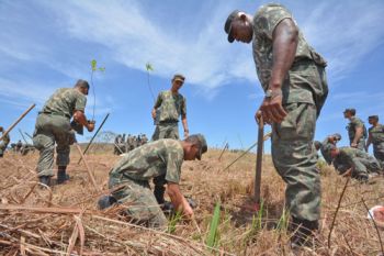 Militares fazem o plantio em Campo de Instrução na região do Barbosa Lage