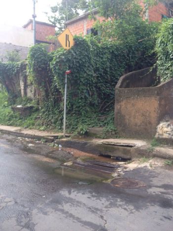 Água parada e placa encoberta no São Pedro 2 Água parada e planta sobre placa de sinalização na Rua Adão Barbosa Lima
