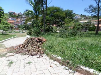 Mato alto e entulho na praça do bairro e paralelepípedos soltos na Rua Irene Batista de Oliveira