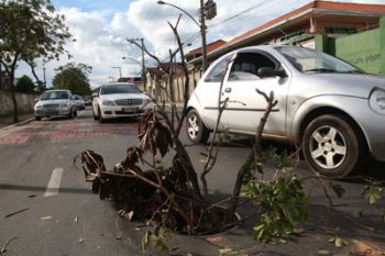 Moradores usaram galhos de árvore para sinalizar buraco na Avenida Coronel Vidal