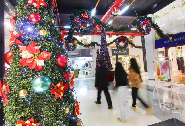 Galerias já estão tomadas pelas árvores