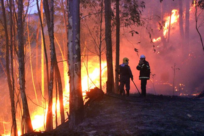 Fogo atingiu área equivalente a 50 campos de futebol