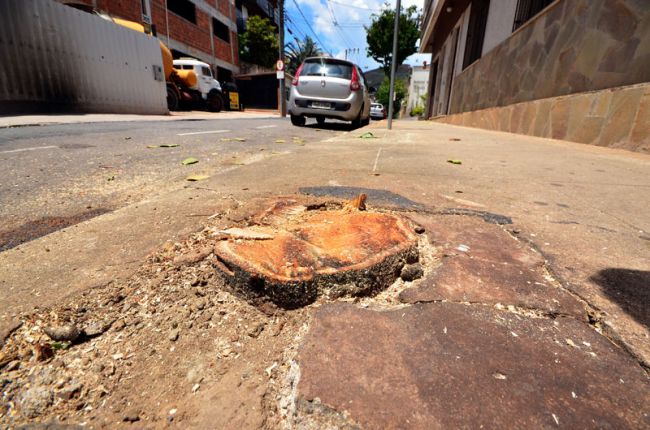 Ação foi realizada pela Secretaria de Meio Ambiente