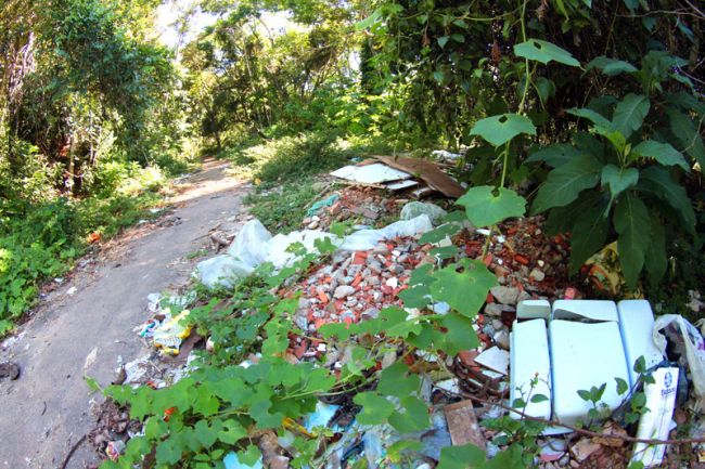 Área de preservação pode estar sendo usada