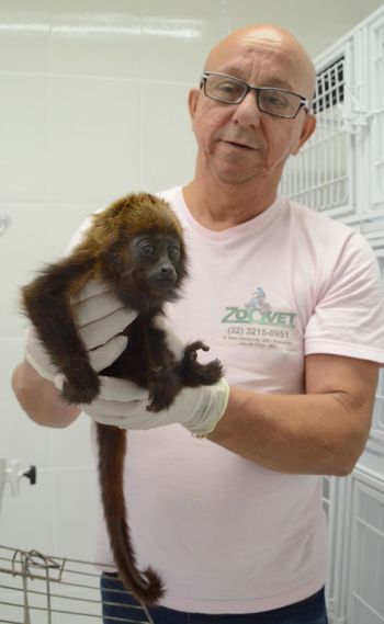 Roberto Fulgêncio/27-01-14 Animal de 3 meses foi levado para clínica veterinária
