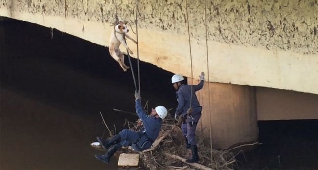 Paulo César Magella Animal foi içado por um corda; resgate durou pouco menos de 15 minutos
