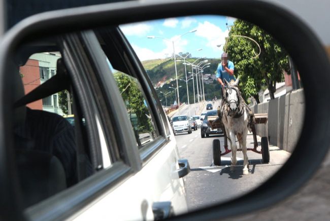 Flagrante no viaduto, onde trânsito de carroças é proibido