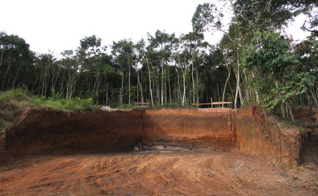 Leonardo Costa Corte é feito em área de preservação ambiental próximo ao Jardim Botânico