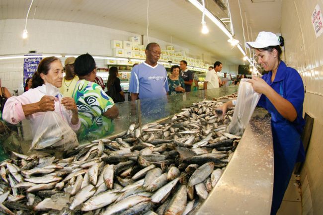 Sardinha foi o peixe mais procurado