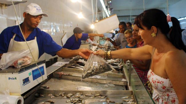 O valor dos peixes se manteve estável