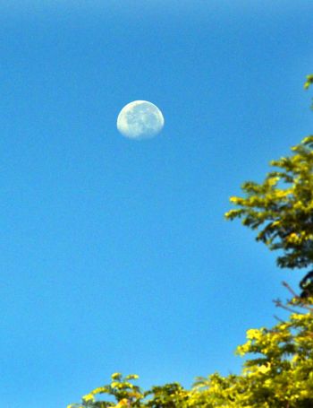 Lua ainda podia ser vista na manhã desta segunda