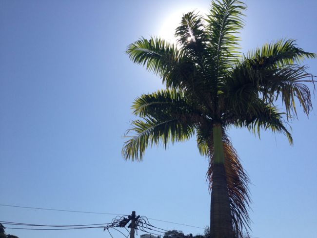 Sol na manhã desta quarta-feira (14)