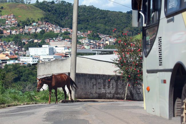 Fluxo de veículos na Carlos Palmer amplia riscos 
