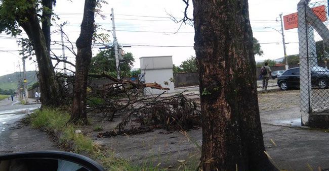 Galhos de árvore que caíram durante temporal no início do mês ainda se encontram na esquina da Rua Júlio Dionísio Cardoso com a Avenida Antônio Simão Firjam