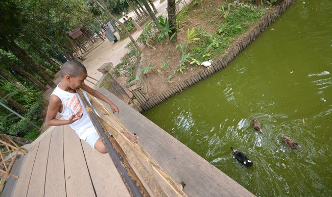 FOTOS: MARCELO RIBEIRO O pequeno Arthur se diverte no Parque do Museu Mariano Procópio