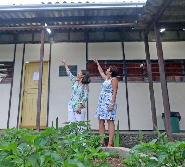 Escola Municipal Santa Cândida tem sistema de calhas que capta e armazena água da chuva, usada na limpeza e para regar plantas