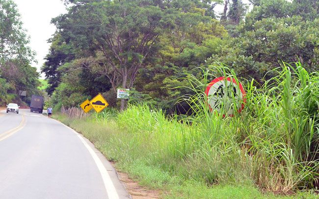 Mato alto encobre placas nas rodovias 3 Na altura do Bairro Floresta, na BR-267, placas estão escondidas pelo mato