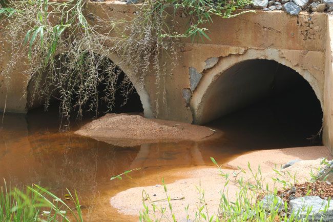 Barra mostra as macrófitas, cujas raízes dificultam o escoamento da água, no Córrego Grama 