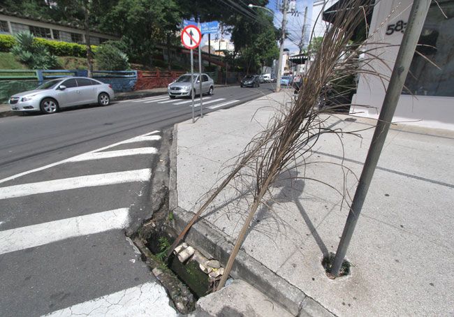 Galhos sinalizam boca de lobo sem tampa na Rua Luiz de Camões