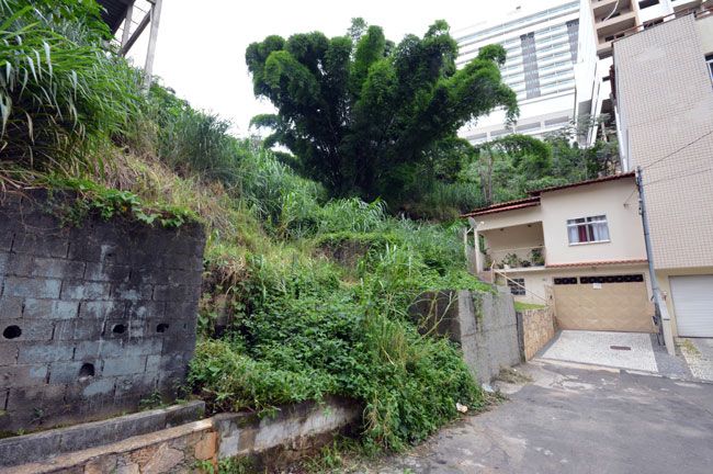 Mato, bichos e água suja em terreno na Rua Doutor José Barbosa