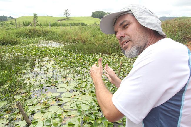 No Córrego São Pedro, impactos são maiores devido ao assoreamento causado por terraplanagem  além do material orgânico de esgotos não tratados