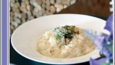 receita bacalhau slide2